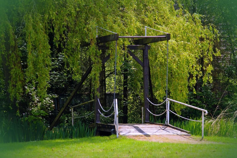 Enchanted Weddings
