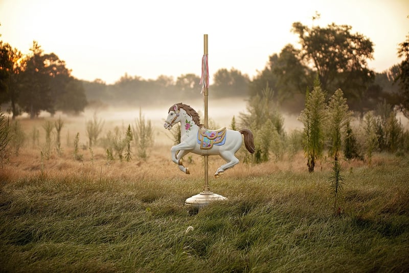 Imaginative Ornaments